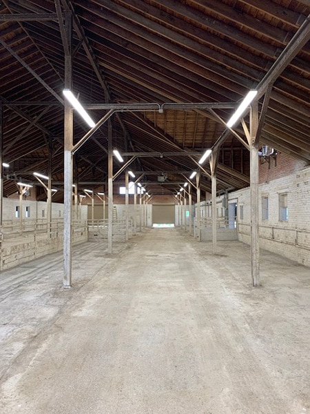 The interior of the cattle barns with lights on and concrete floors