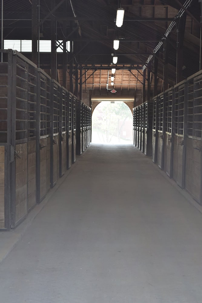 Individual stalls on the inside of the horse barns