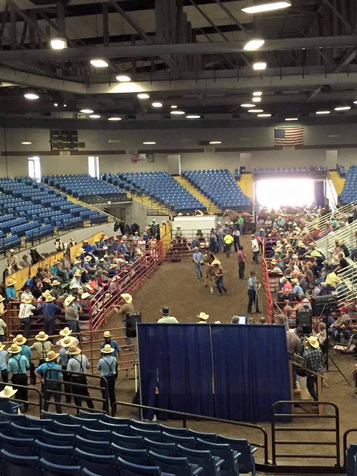Cowboys and farmers watching a livestock event in the Mathewson Exhibition Center
