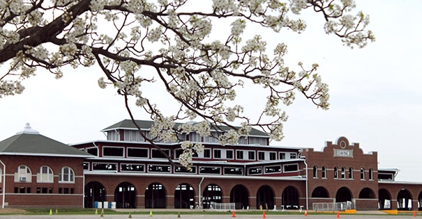 The Swine Pavilion in the foreground of a blooming tree