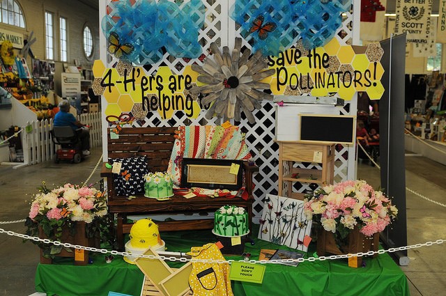 4-Hers are helping save the pollinators exhibit